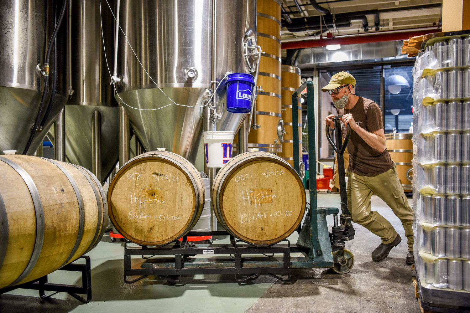 barrels in brewery