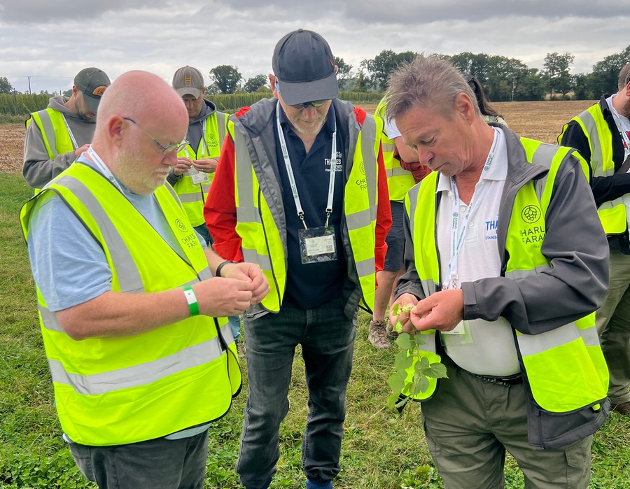 Charles Faram examining hops