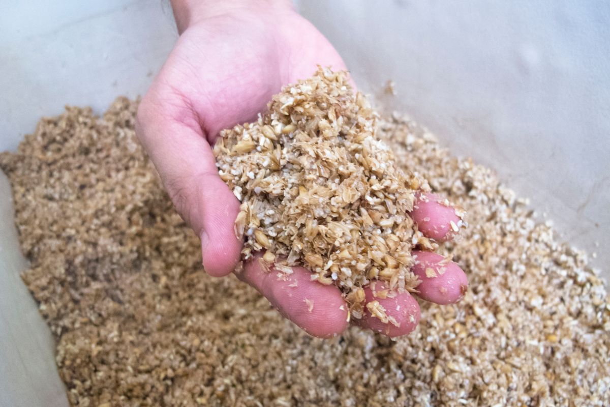 homebrew grain