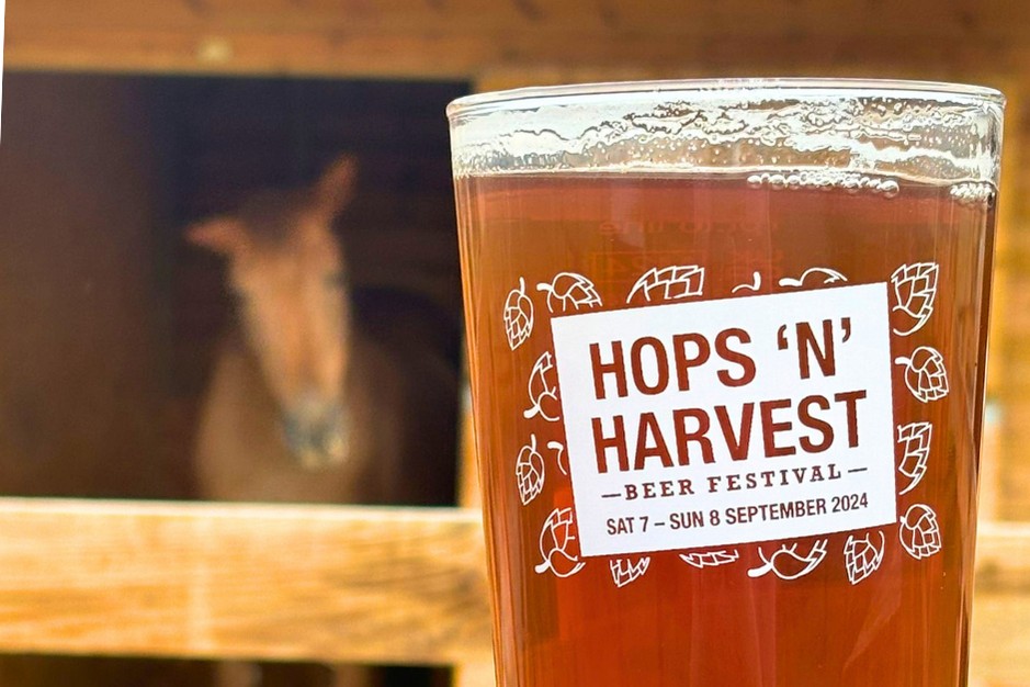 Hops n Harvest