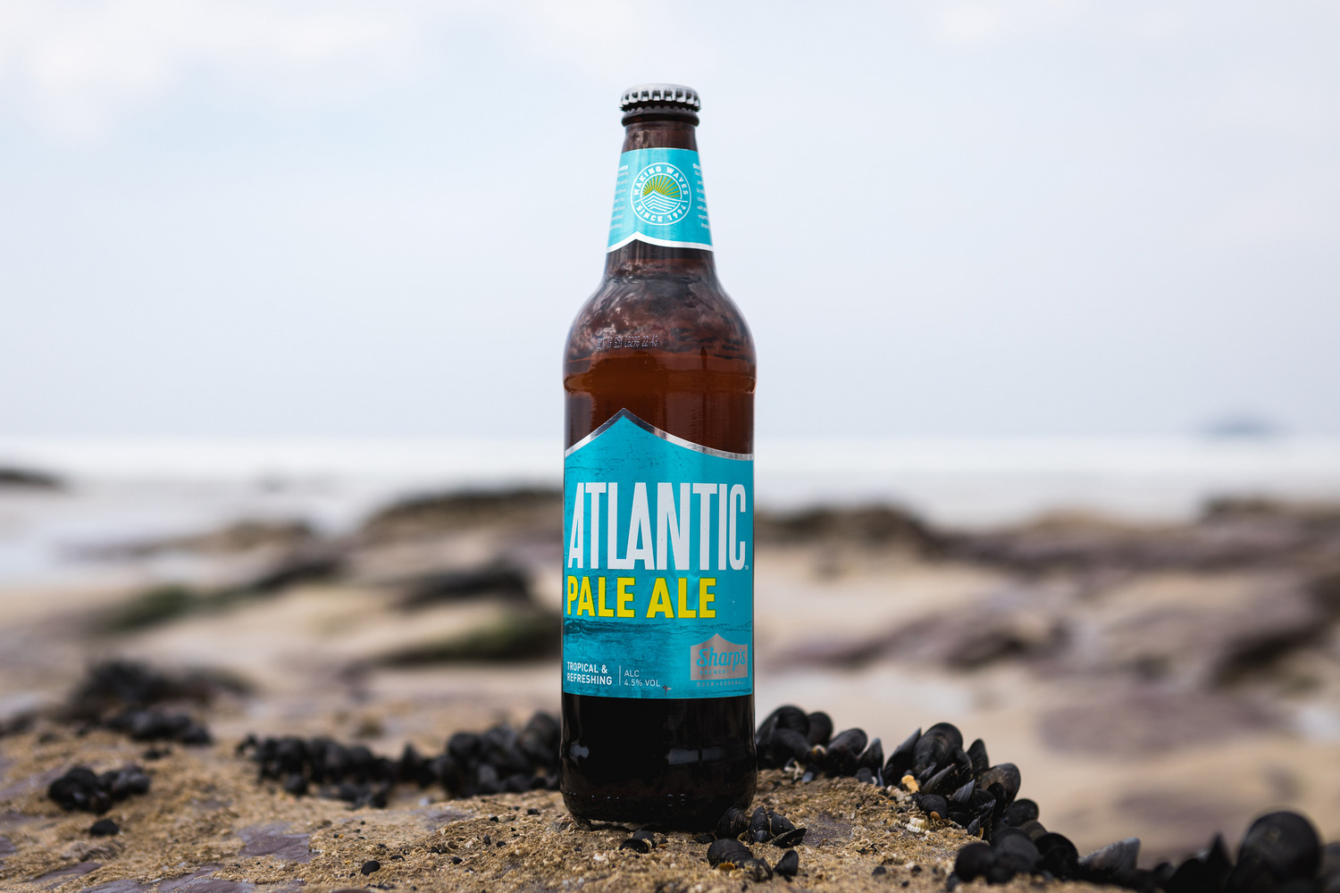 Sharps Atlantic