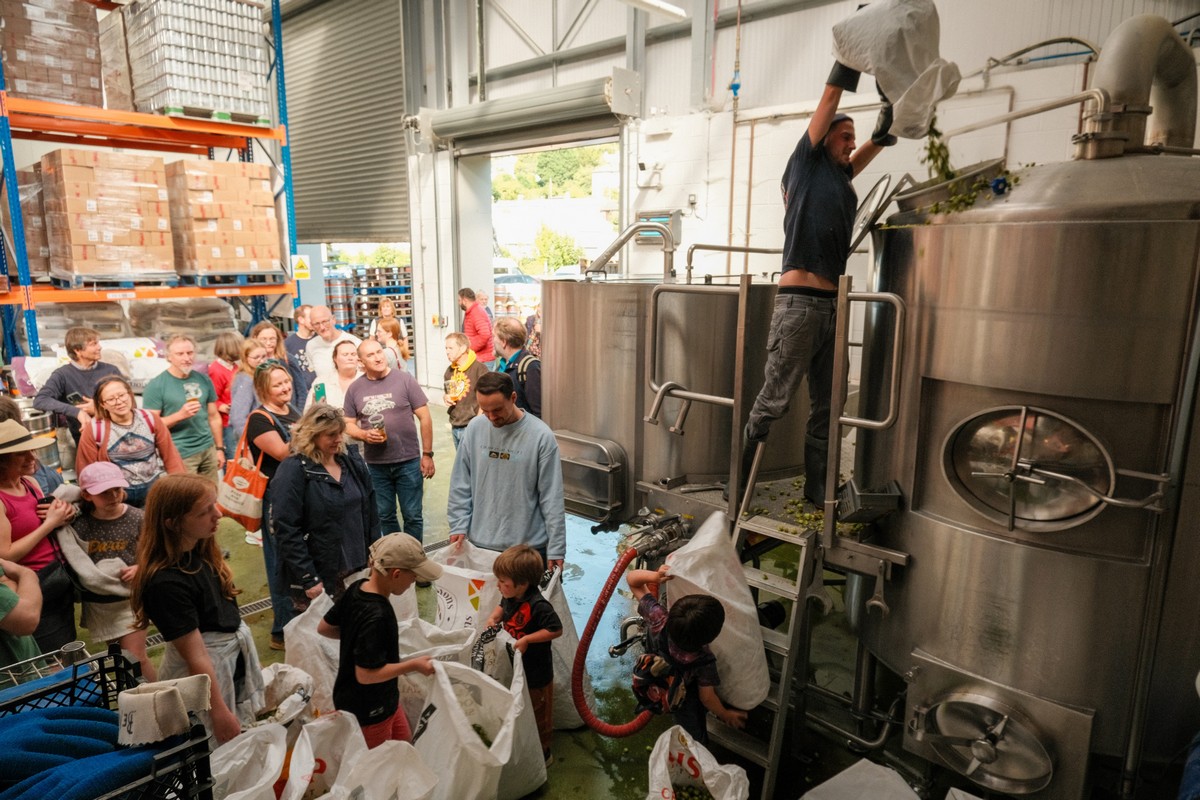 Stroud Hop Club brewing
